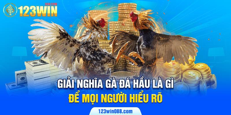 Giải nghĩa gà đá hầu là gì để mọi người hiểu rõ