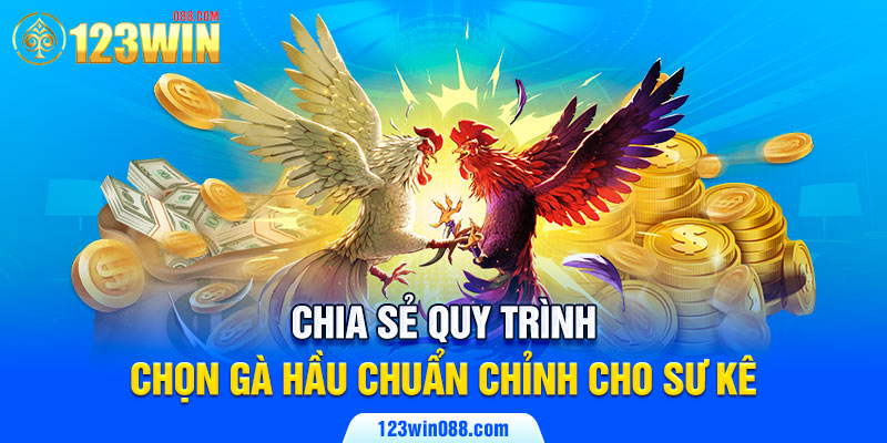 Chia sẻ quy trình chọn gà hầu chuẩn chỉnh cho sư kê