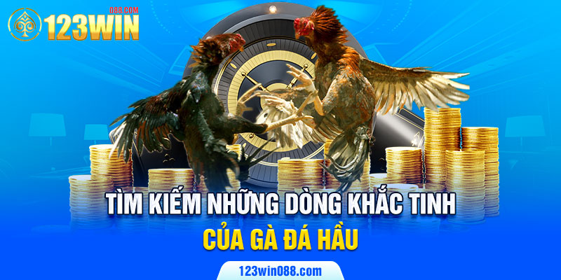 Tìm kiếm những dòng khắc tinh của gà đá hầu