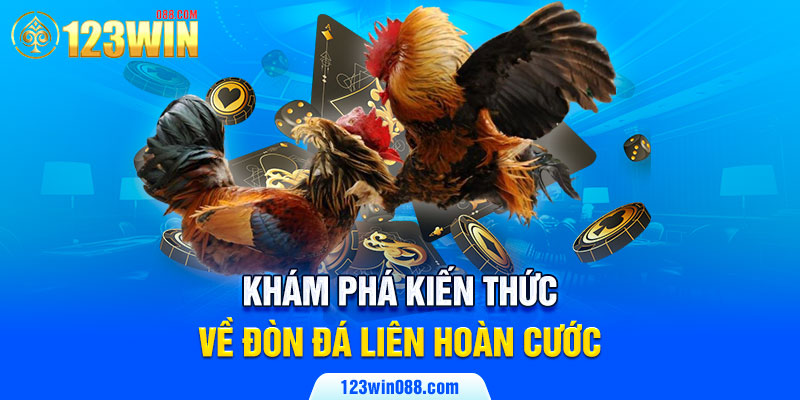 Khám phá kiến thức về đòn đá liên hoàn cước