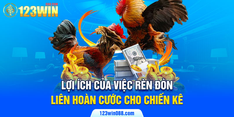 Lợi ích của việc rèn đòn liên hoàn cước cho chiến kê