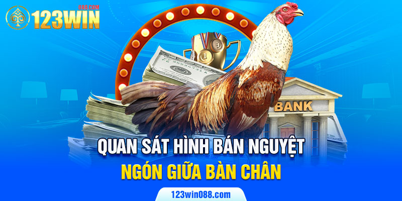 Quan sát hình bán nguyệt ngón giữa bàn chân