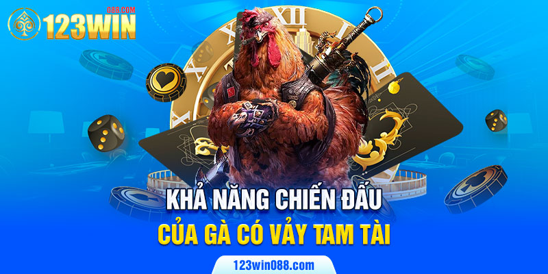 Khả năng chiến đấu của gà có vảy tam tài